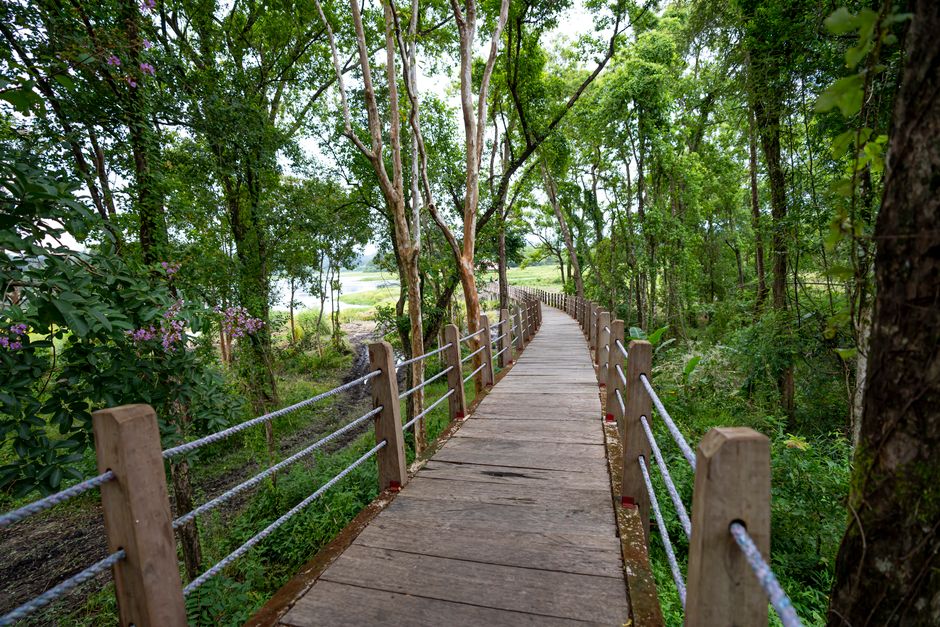 Bosque Alemão