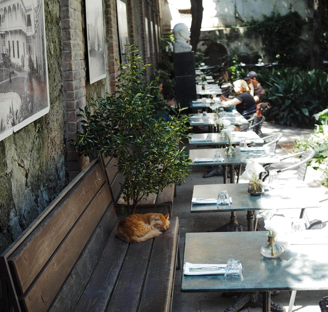 cafés charmosos em curitiba
