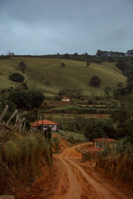 Caminho do Vinho