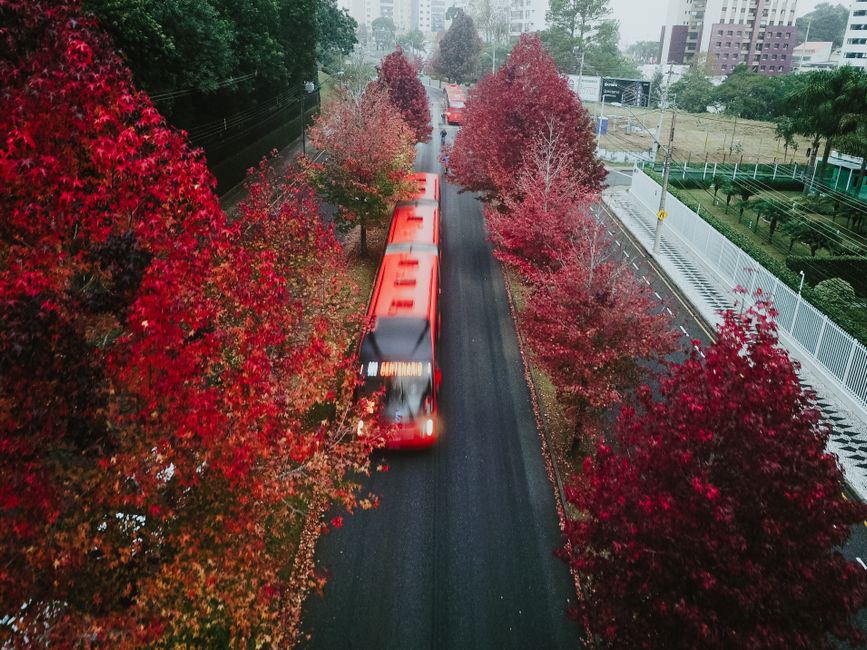 Licitação do Transporte Coletivo em Curitiba