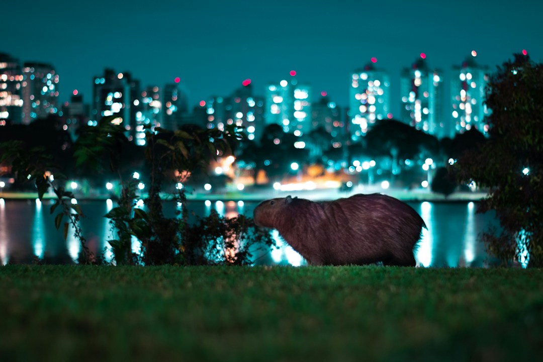 Parque Barigui