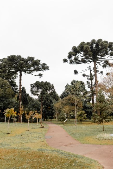 Parque Tanguá