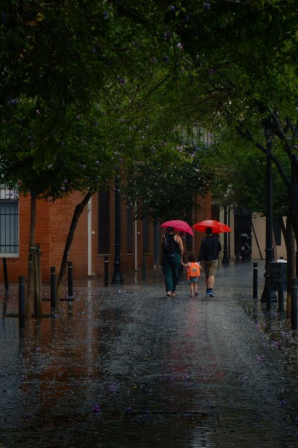 previsão do tempo em Curitiba
