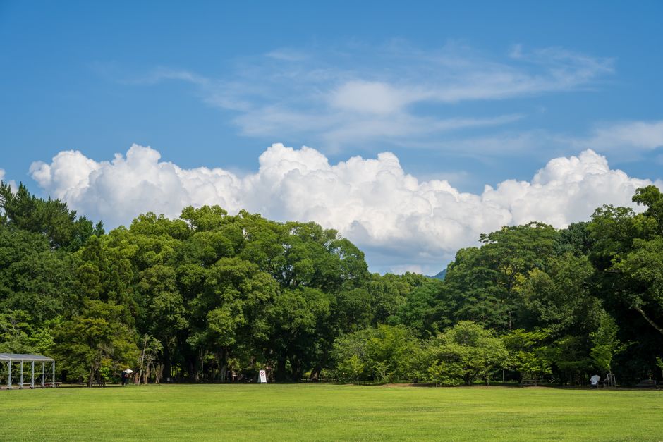 previsão do tempo em Curitiba