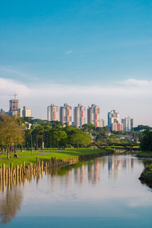 primavera em Curitiba