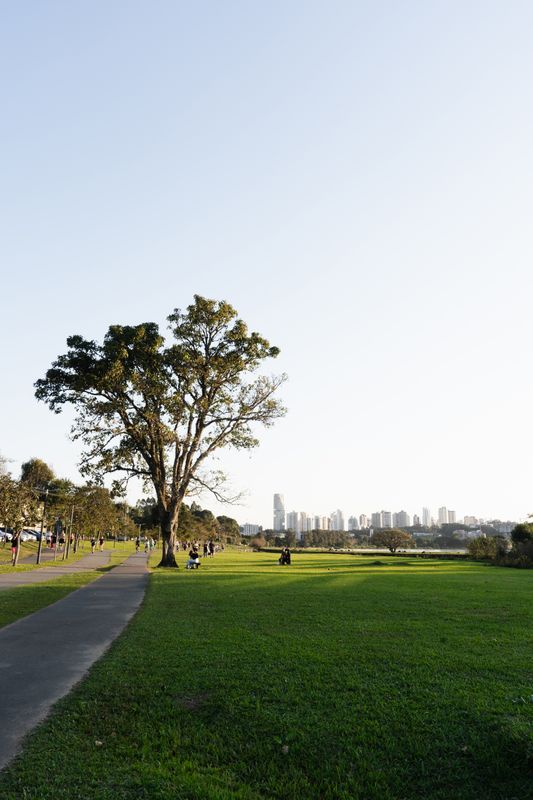 primavera em Curitiba