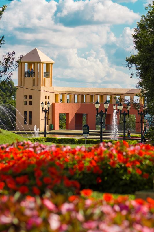 primavera em Curitiba