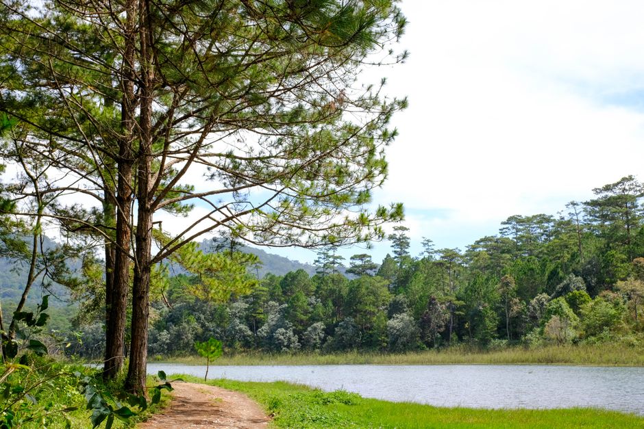 Represa do Passaúna